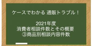 2021年度 消費者相談件数とその概要 ③商品別相談内容件数